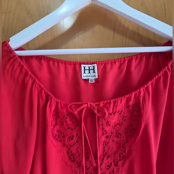 Haute Hippie Embroidered Silk Dress - Picture 3 of 5